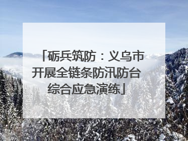 砺兵筑防：义乌市开展全链条防汛防台综合应急演练