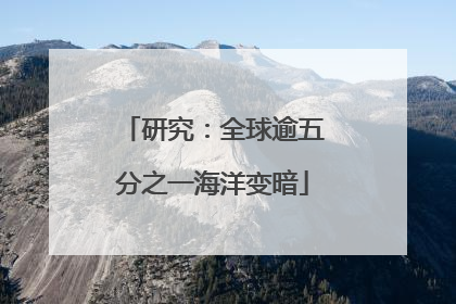 研究：全球逾五分之一海洋变暗