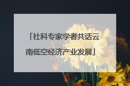社科专家学者共话云南低空经济产业发展