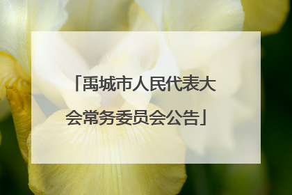 禹城市人民代表大会常务委员会公告