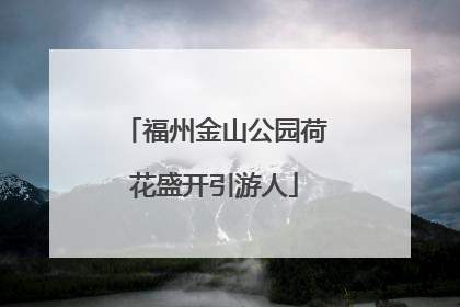 福州金山公园荷花盛开引游人