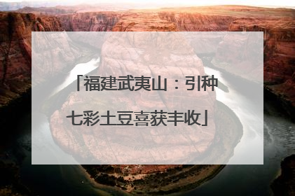 福建武夷山：引种七彩土豆喜获丰收