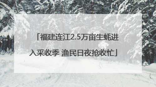福建连江2.5万亩生蚝进入采收季 渔民日夜抢收忙