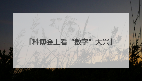 科博会上看“数字”大兴