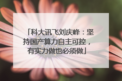 科大讯飞刘庆峰：坚持国产算力自主可控，有实力做也必须做