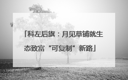 科左后旗：月见草铺就生态致富“可复制”新路