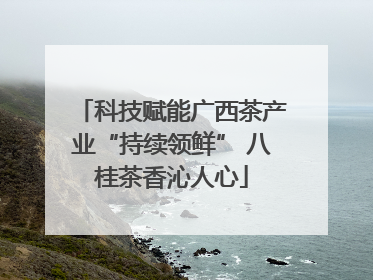 科技赋能广西茶产业“持续领鲜” 八桂茶香沁人心