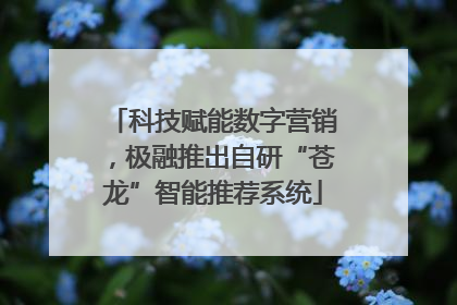 科技赋能数字营销，极融推出自研“苍龙”智能推荐系统