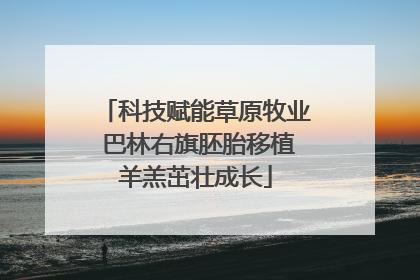 科技赋能草原牧业 巴林右旗胚胎移植羊羔茁壮成长