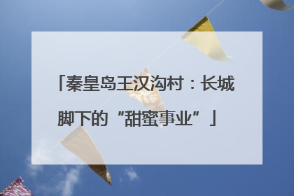 秦皇岛王汉沟村：长城脚下的“甜蜜事业”