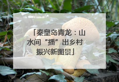 秦皇岛青龙：山水间“播”出乡村振兴新图景