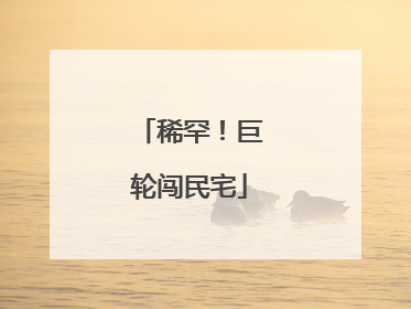 稀罕！巨轮闯民宅