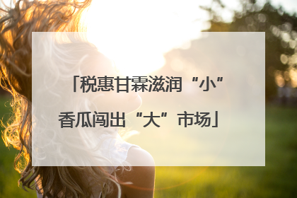 税惠甘霖滋润“小”香瓜闯出“大”市场