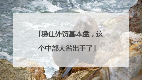 稳住外贸基本盘，这个中部大省出手了