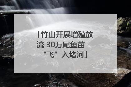 竹山开展增殖放流 30万尾鱼苗“飞”入堵河