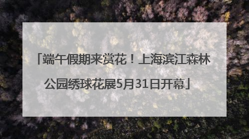 端午假期来赏花！上海滨江森林公园绣球花展5月31日开幕