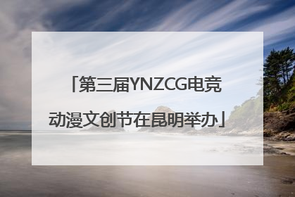 第三届YNZCG电竞动漫文创节在昆明举办