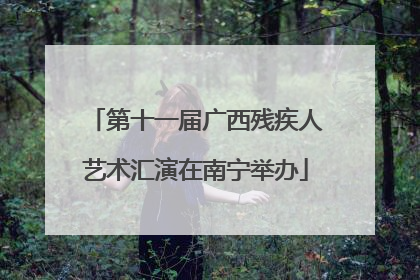 第十一届广西残疾人艺术汇演在南宁举办
