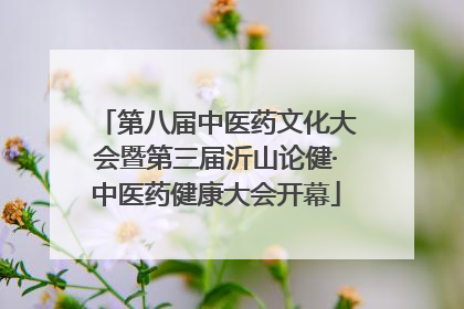 第八届中医药文化大会暨第三届沂山论健·中医药健康大会开幕