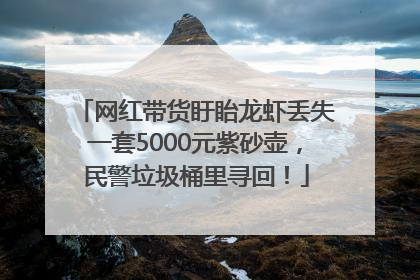 网红带货盱眙龙虾丢失一套5000元紫砂壶，民警垃圾桶里寻回！