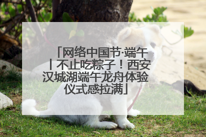 网络中国节·端午丨不止吃粽子！西安汉城湖端午龙舟体验仪式感拉满