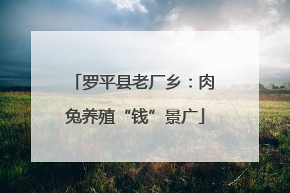 罗平县老厂乡：肉兔养殖“钱”景广