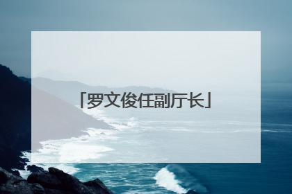 罗文俊任副厅长