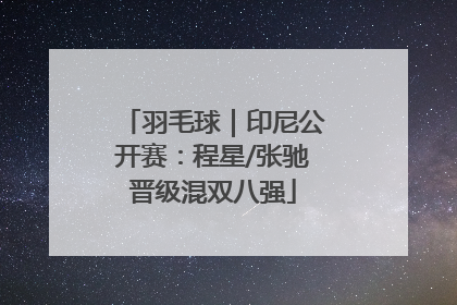 羽毛球｜印尼公开赛：程星/张驰晋级混双八强