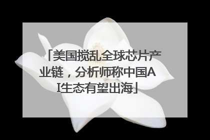 美国搅乱全球芯片产业链，分析师称中国AI生态有望出海