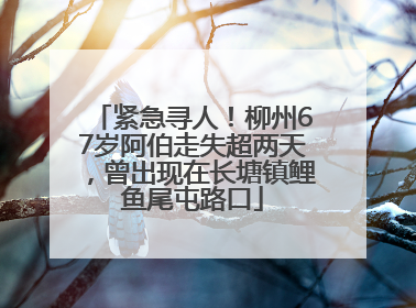 紧急寻人！柳州67岁阿伯走失超两天，曾出现在长塘镇鲤鱼尾屯路口