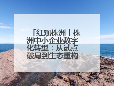 红观株洲丨株洲中小企业数字化转型：从试点破局到生态重构的进阶之路