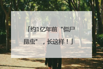 约1亿年前“僵尸昆虫”，长这样！