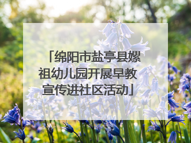 绵阳市盐亭县嫘祖幼儿园开展早教宣传进社区活动