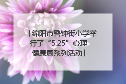 绵阳市警钟街小学举行了“5.25”心理健康周系列活动