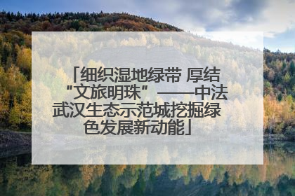 细织湿地绿带 厚结“文旅明珠”——中法武汉生态示范城挖掘绿色发展新动能