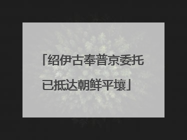 绍伊古奉普京委托已抵达朝鲜平壤