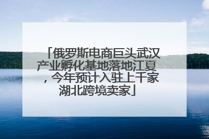 俄罗斯电商巨头武汉产业孵化基地落地江夏，今年预计入驻上千家湖北跨境卖家