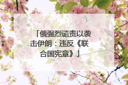 俄强烈谴责以袭击伊朗：违反《联合国宪章》