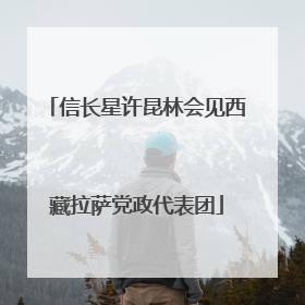 信长星许昆林会见西藏拉萨党政代表团
