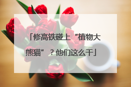 修高铁碰上“植物大熊猫”？他们这么干