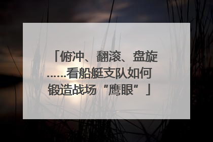 俯冲、翻滚、盘旋……看船艇支队如何锻造战场“鹰眼”