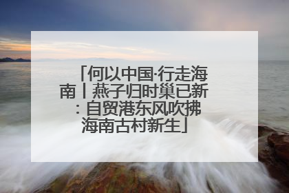 何以中国·行走海南丨燕子归时巢已新：自贸港东风吹拂 海南古村新生
