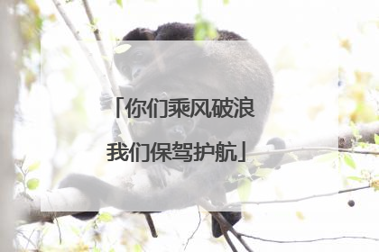 你们乘风破浪 我们保驾护航