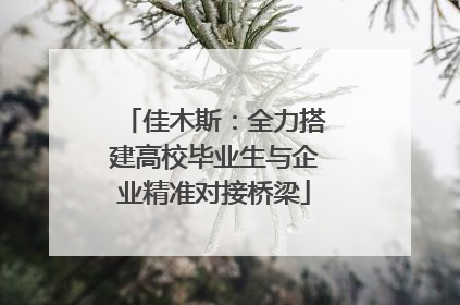 佳木斯：全力搭建高校毕业生与企业精准对接桥梁