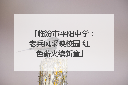 临汾市平阳中学：老兵风采映校园 红色薪火续新章