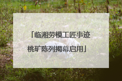 临湘劳模工匠事迹桃矿陈列揭幕启用