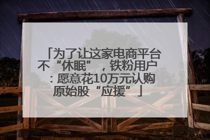 为了让这家电商平台不“休眠”，铁粉用户：愿意花10万元认购原始股“应援”