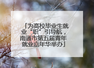 为高校毕业生就业“职”引导航，南通市第五届青年就业嘉年华举办