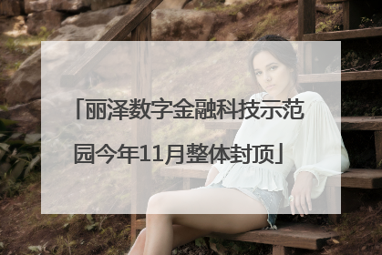 丽泽数字金融科技示范园今年11月整体封顶