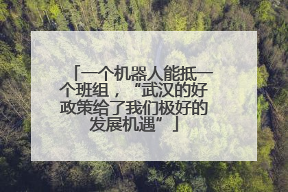 一个机器人能抵一个班组，“武汉的好政策给了我们极好的发展机遇”